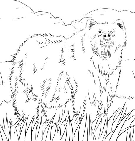 Alaskan Grizzly Bear Coloring Page